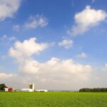 Market prices rebound along with inputs ohio