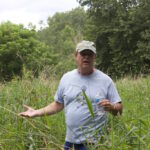 Mathematician Michael O’Neill strives for sustainability with 2022 Tree Farm of the Year A man stands in a field