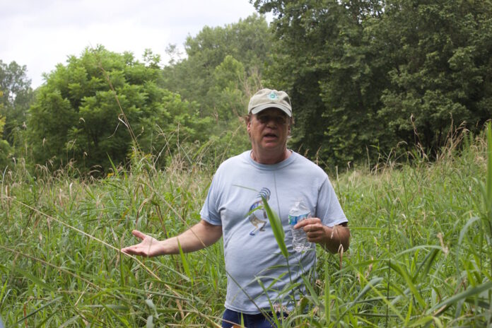 ohio_tree_farm_1 A man stands in a field
