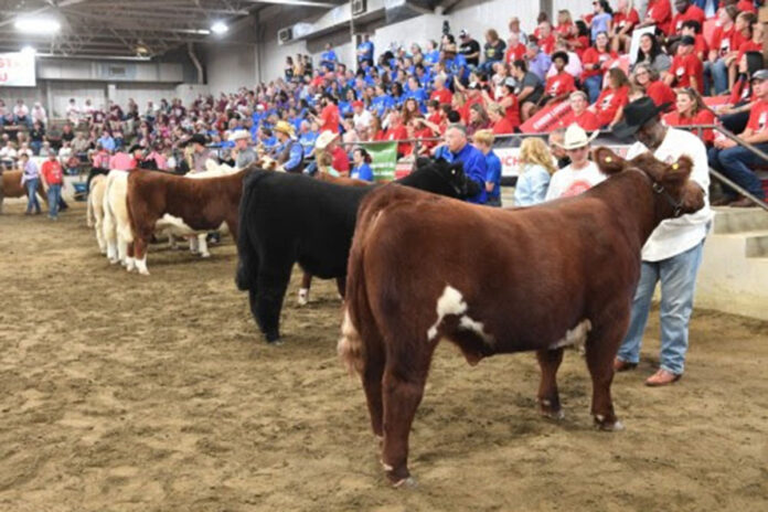 Dean's Charity Steer Show Dean's Charity Steer Show