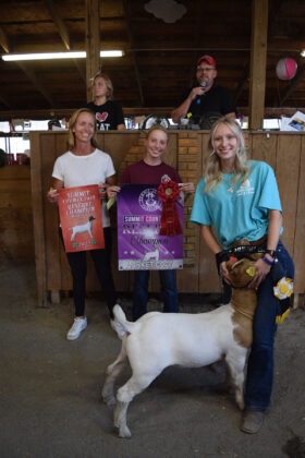 Reserve Champion Goat