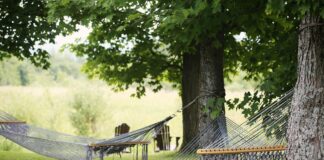 Living a life of leisure hammock