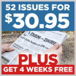 4weeks Newsletter Promo