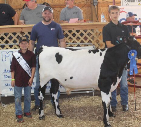 Grand Champion Dairy Feeder