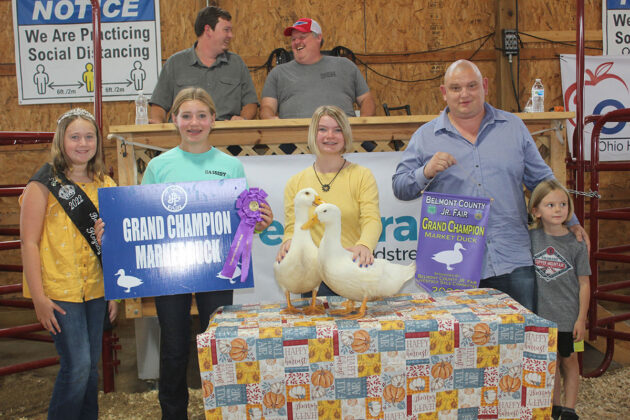 Grand Champion Ducks