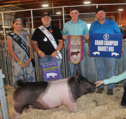 Grand Champion Hog