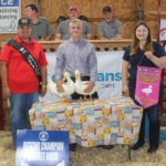 Reserve Champion Ducks