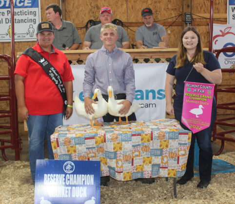 Reserve Champion Ducks