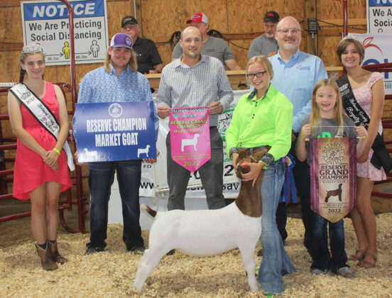 Reserve Champion Goat