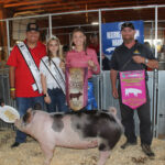 Reserve Champion Hog