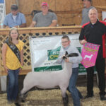 Reserve Champion Lamb