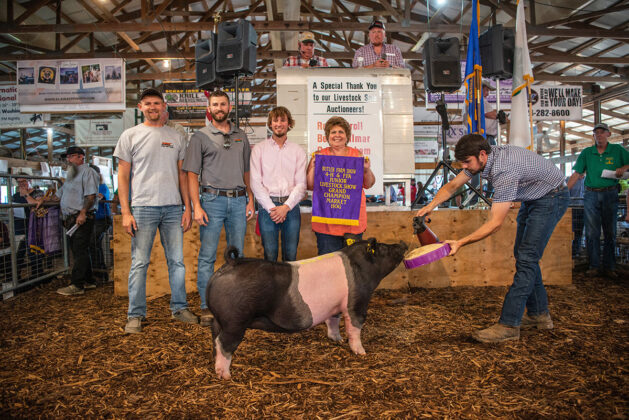 Grand Champion Hog
