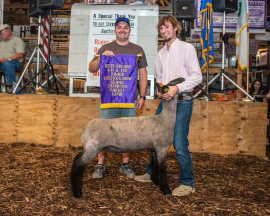 Grand Champion Lamb