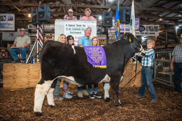 Grand Champion Beef