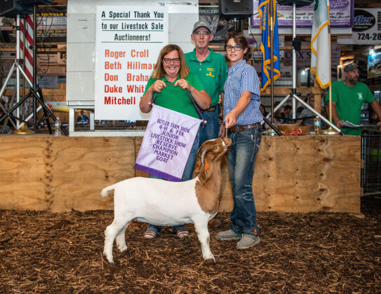Reserve Champion Goat