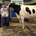 Grand Champion Cheese