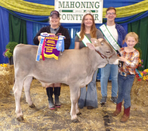 Grand Champion Dairy Feeder