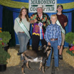 Grand Champion Market Dairy Goat