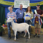 Grand Champion Milk Fudge Goat
