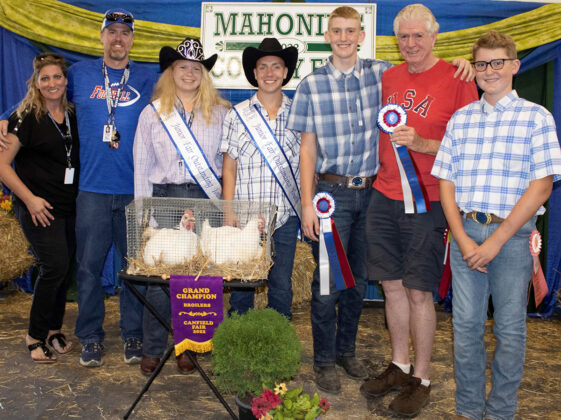 Grand Champion Market Broiler