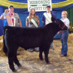Reserve Champion Beef Feeder
