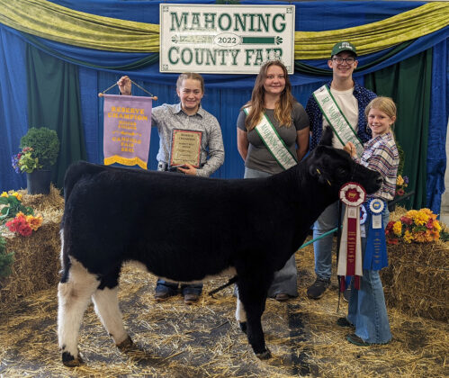 Reserve Champion Beef Heifer