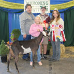 Reserve Champion Milk Fudge Goat