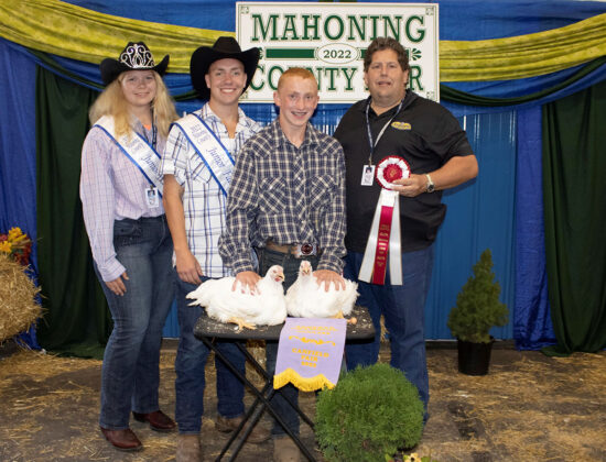 Reserve Champion Market Broilers