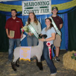 Reserve Champion Lamb