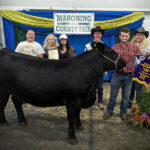Grand Champion Market Beef