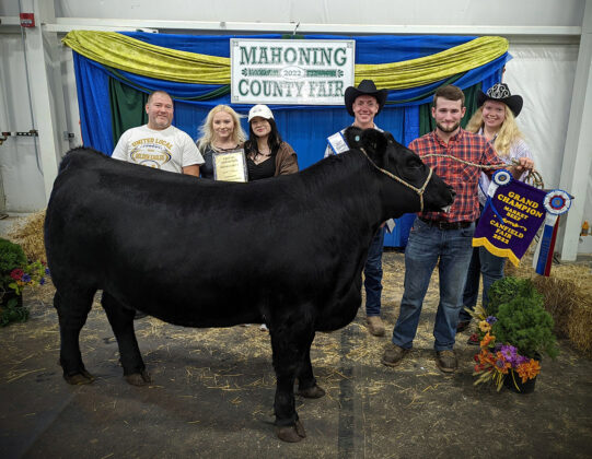 Grand Champion Market Beef
