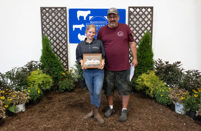 Grand Champion Chickens