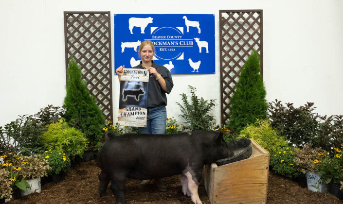 Grand Champion Hog