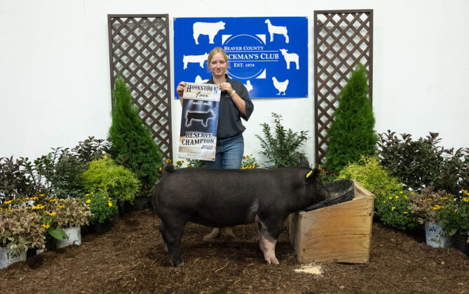 Reserve Champion Hog