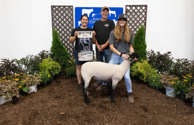 Reserve Champion Lamb