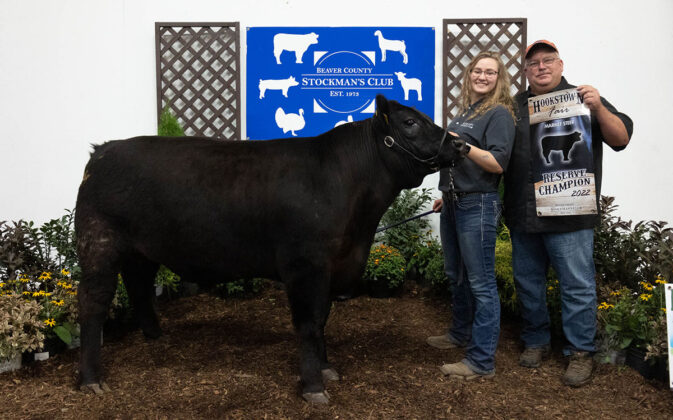 Reserve Champion Steer