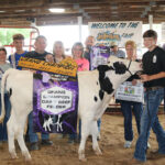 2022 Jefferson County Fair sale Grand Champion Dairy Beef Feeder