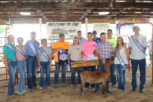 Grand Champion Market Goat