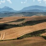 Given what we don’t know, why do we act like we do know? wheat fields in South Africa