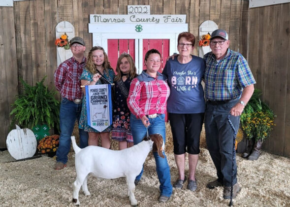 Grand Champion Market Wether