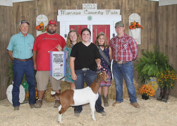 Reserve Champion Meat Doe
