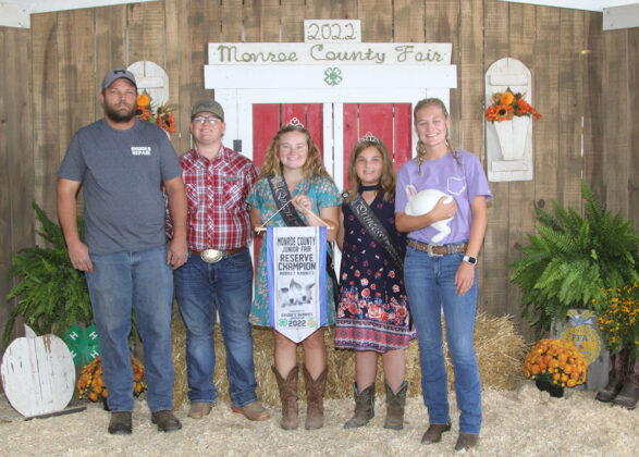 Reserve Champion Market Rabbit