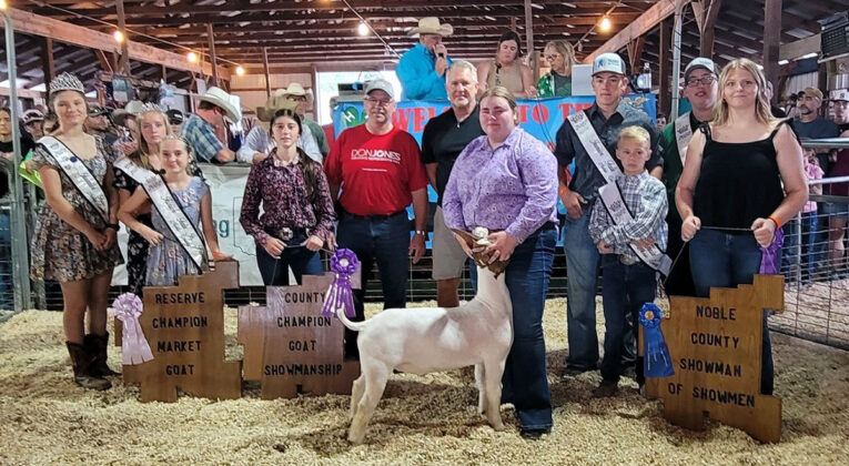 Reserve Champion Market Goat