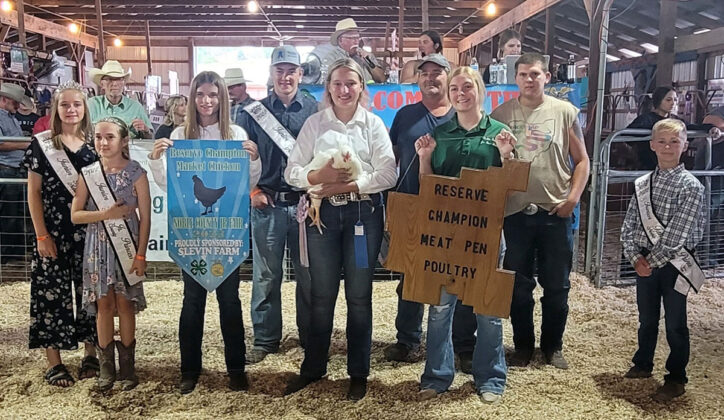 Reserve Champion Market Chickens