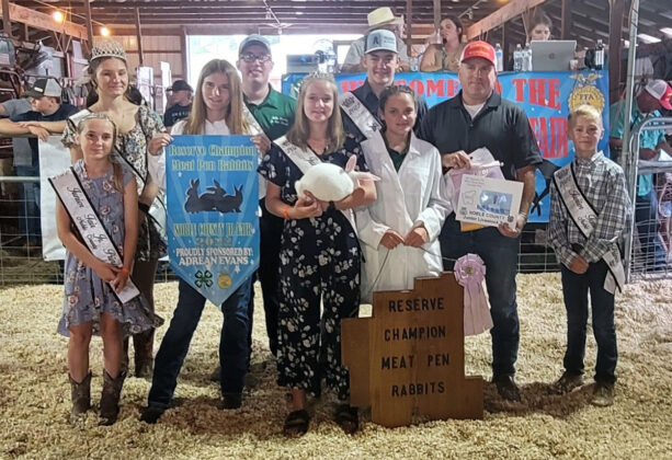 Reserve Champion Market Rabbits
