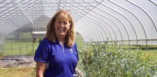 Feeding the soul: Violet Maston shares love of flowers at Sweet Violet Farm A woman stands in a high tunnel next to growing eucalyptus.