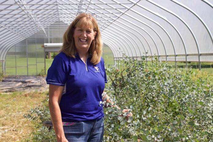 sweet_violet_farm_1 A woman stands in a high tunnel next to growing eucalyptus.