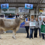 2022 Tuscarawas County Fair sale Grand Champion Dairy Steer