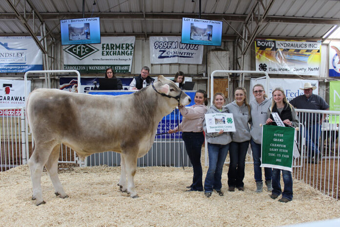 Grand Champion Dairy Steer Grand Champion Dairy Steer