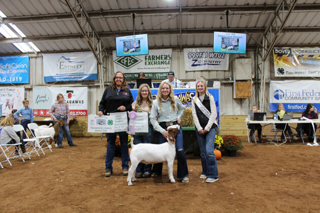 Reserve Champion Goat